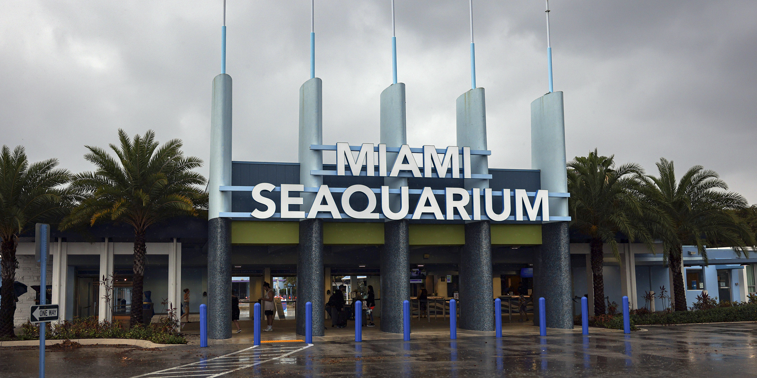 Federal Probes, Sick Animals, and Fed-Up Vets: The Miami Seaquarium Is on the Brink of Collapse