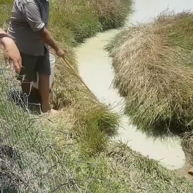The reason you should avoid the water in Australia