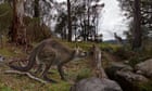 ‘Unlike anything today’: Gippsland fossil unlocks secrets of kangaroo that died out 46,000 years ago
