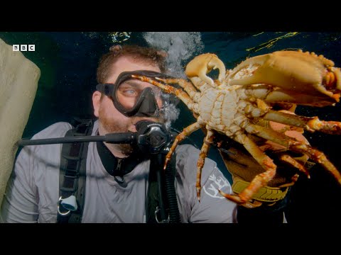 Breeding a Baby Crab Army | Our Changing Planet | BBC Earth Science
