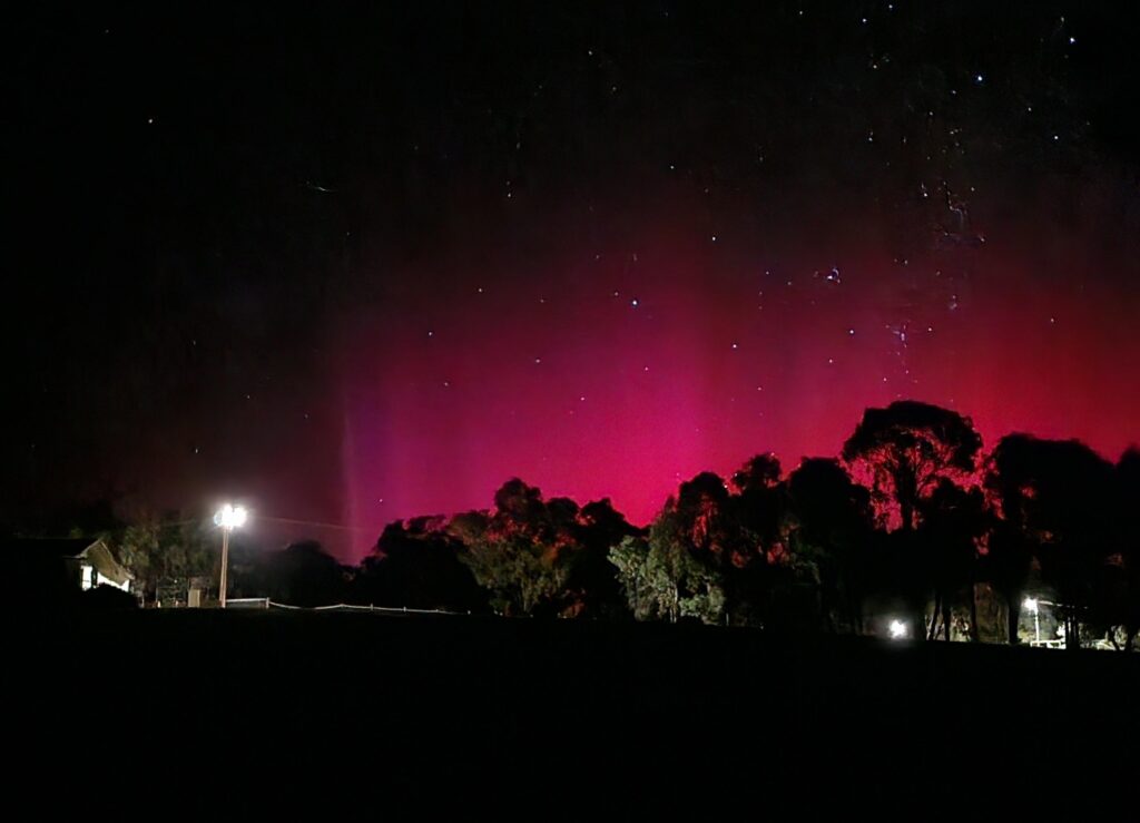 Aurora Australis showed up while walking my dog early this morning
