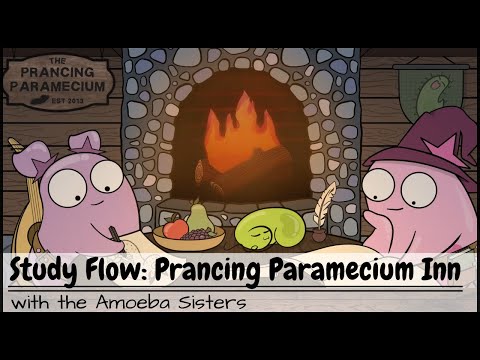 Study Flow: Amoeba Sisters Prancing Paramecium Study Video 40 Minutes