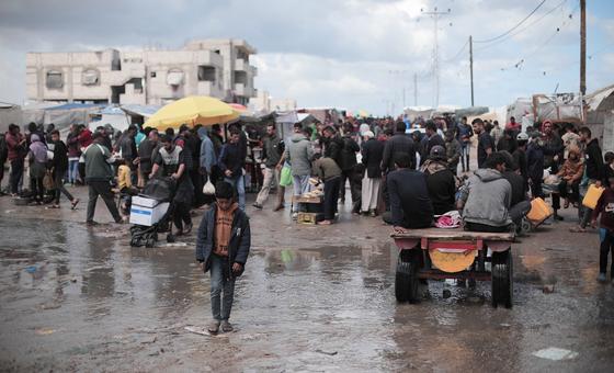 We won’t abandon Gazans sheltering in Rafah, says UNRWA