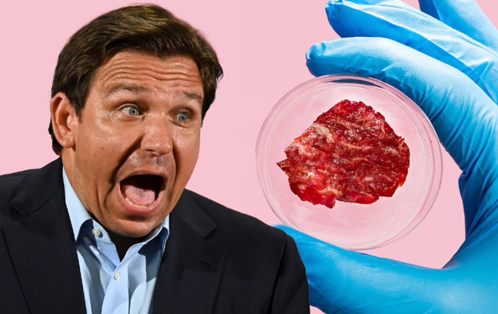 The Ban on “Lab-Grown” Meat is Both Reprehensible and Stupid