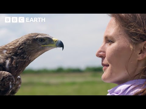 How Colours Tell the Story of Earth | Colour The Spectrum Of Science | BBC Science