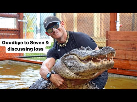 The loss of a legendary gator