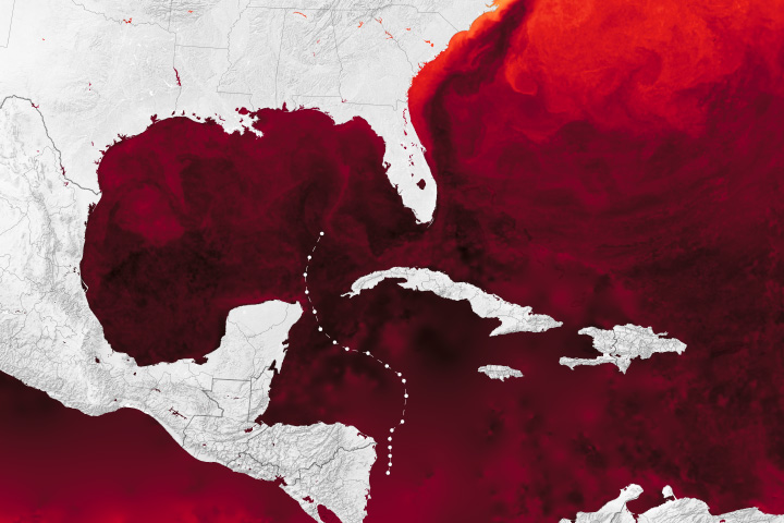 Ocean Heat for Hurricane Helene