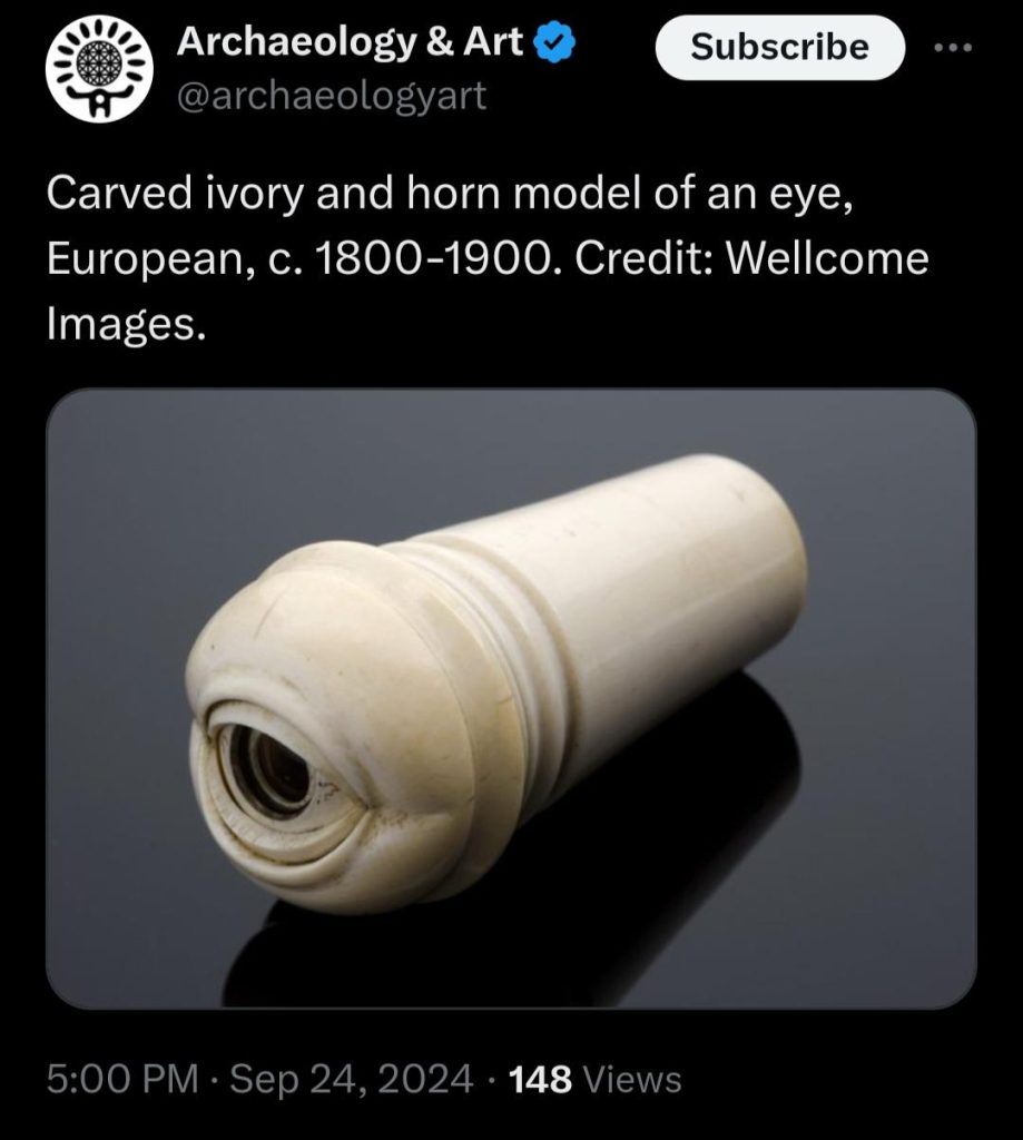 Ivory model of an eye