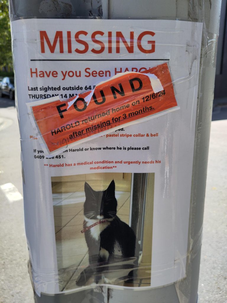 The “OP” of this lost cat poster came back and posted an update on the Harold situation