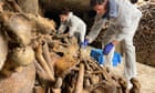 ‘Bodies were dropped down quarry shafts’: secrets of millions buried in Paris catacombs come to light