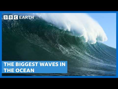 Surfing The Biggest Waves In The Ocean | Spectacular Earth | BBC Earth Science