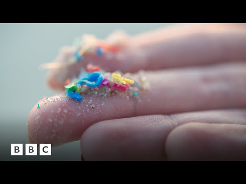 How to limit your exposure to microplastics | BBC Global