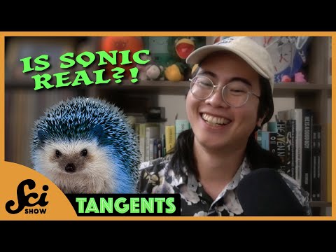 Nocturnal Animals with Tom Lum – Spooky Month | SciShow Tangents Podcast