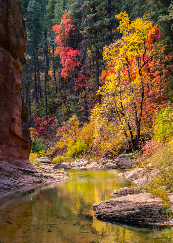 West Fork of Oak Creek, Sedona, Arizona, USA [OC] 1370×1920