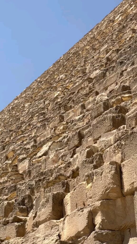 A dog made it’s way up and down the Great Pyramid in Egypt