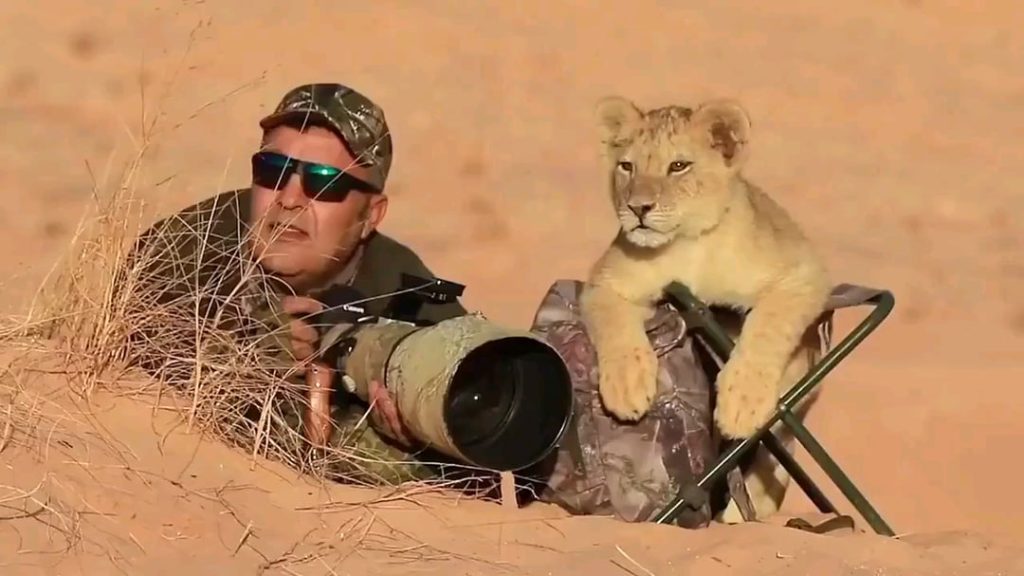 Cub joins Wildlife Photographer.