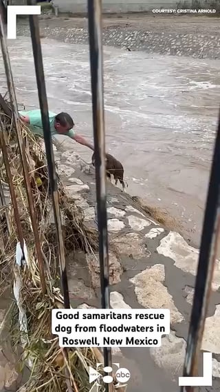 Good Samaritans Rescue Dog From Flood Waters In Roswell New Mexico