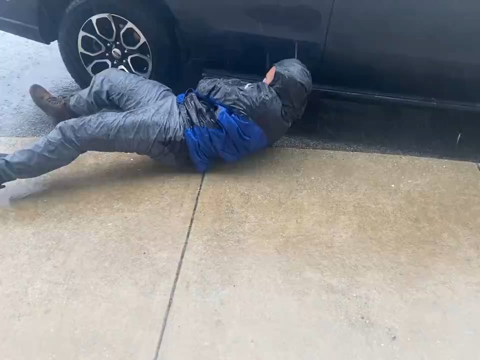 Hearst DC correspondent rescues a cat from the impending hurricane Milton