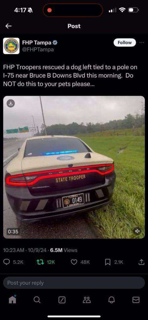 Dog tied to fence during  Hurricane Milton’s approach rescued by Florida Highway Patrol