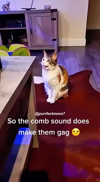 Sound that makes cats gag