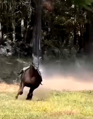 A cowboy’s last wish was to ride his favorite horse for the one last times