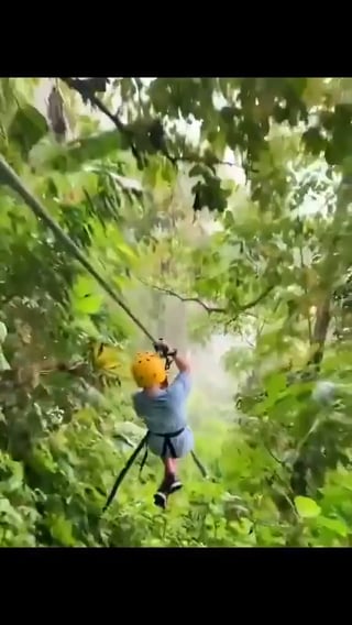 🔥A Sloth Casually Hanging On A Zip Line