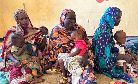 World News in Brief: Famine in Sudan, 400,000 now in Syria from Lebanon, women in the military, olive farmers in Palestine