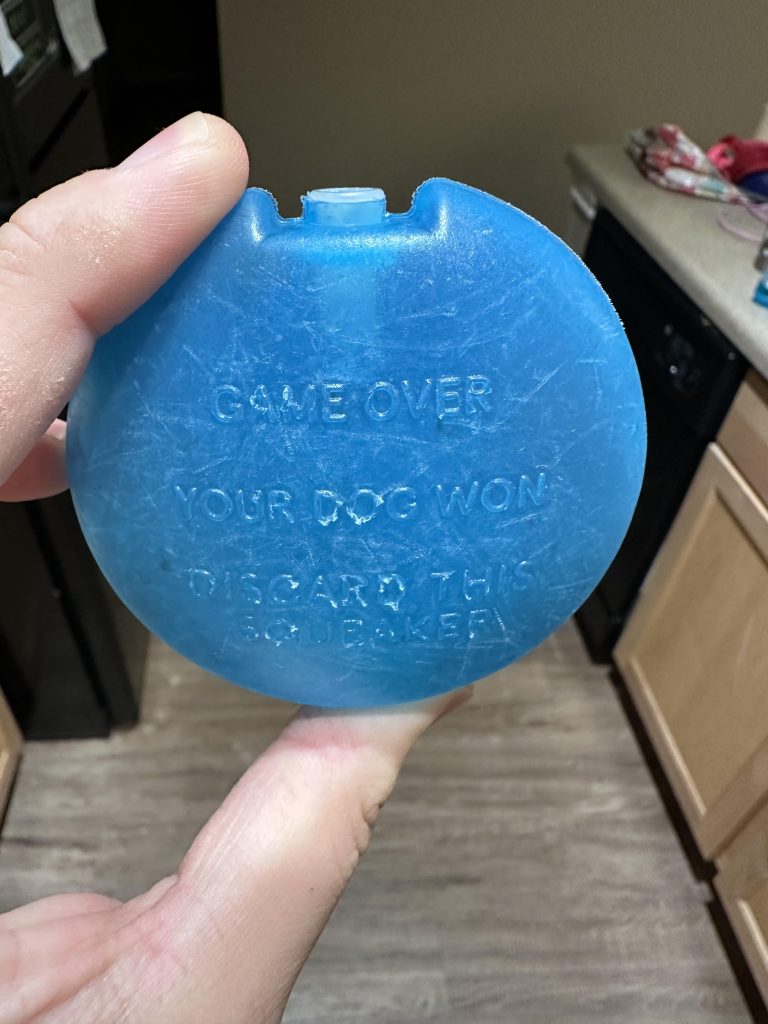 My dog ripped open his chew toy and this was written on the squeaker