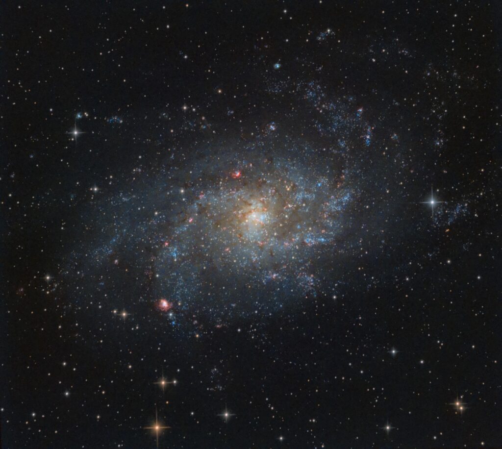 The Triangulum Galaxy with an 8” f4 newt through the city.