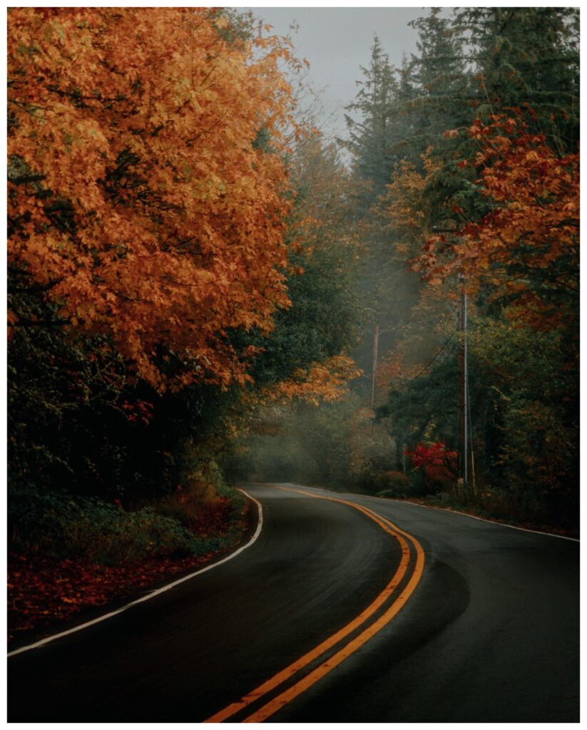 ITAP of the fall foliage.