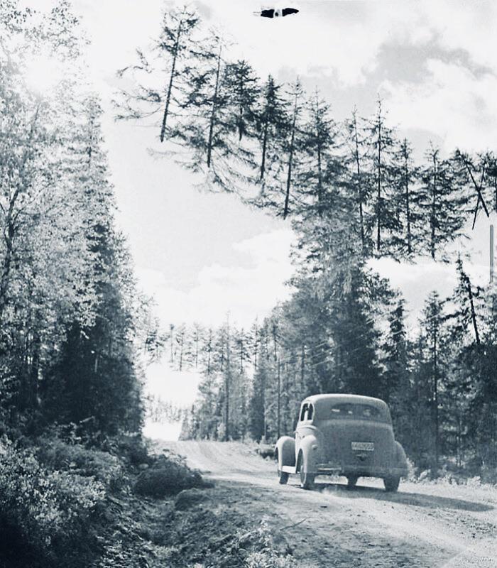 In Finland during WWII, trees were hung across roads with ropes to confuse the Russians – 1941