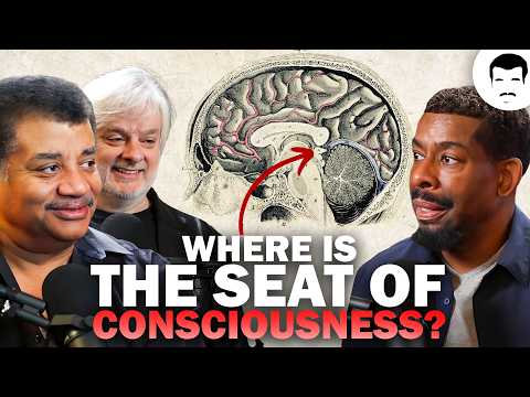 Scientists Discuss the Hard Problem of Consciousness