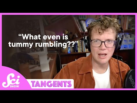 Stomachs | SciShow Tangents Podcast