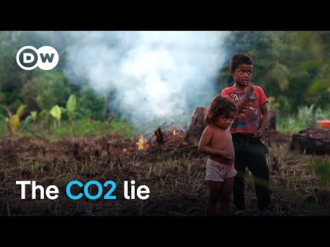 From reforestation to CO2 compensation – Companies‘ dirty tricks | DW Documentary