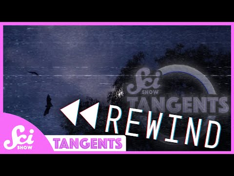 Rewind Ep. 21 – Bats | SciShow Tangents Podcast