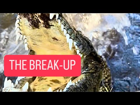 THE BREAK-UP