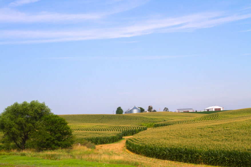 Here and There, Organic Farming Still Thrives in Heart of U.S. Corn Country