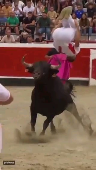 Man does a backflip over a live charging bull