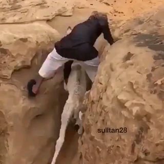 This man helped trapped baby camel get back safely to its mom.