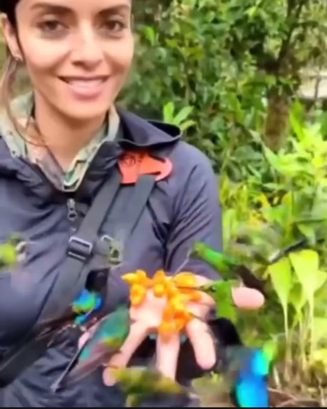 🔥 Feeding hummingbirds