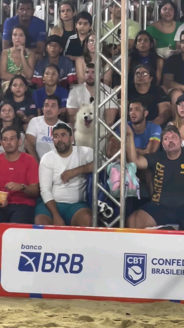 The synchronization of these people’s faces when watching beach tennis.