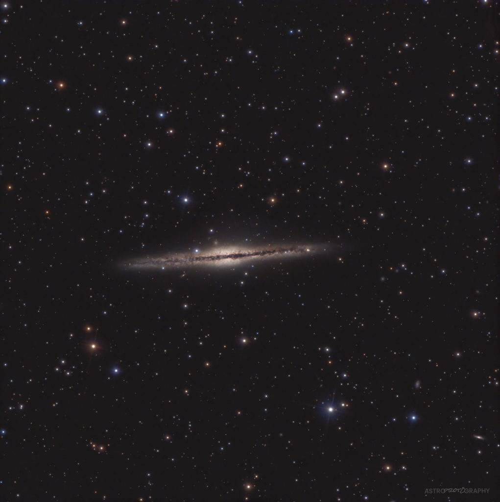 NGC 891