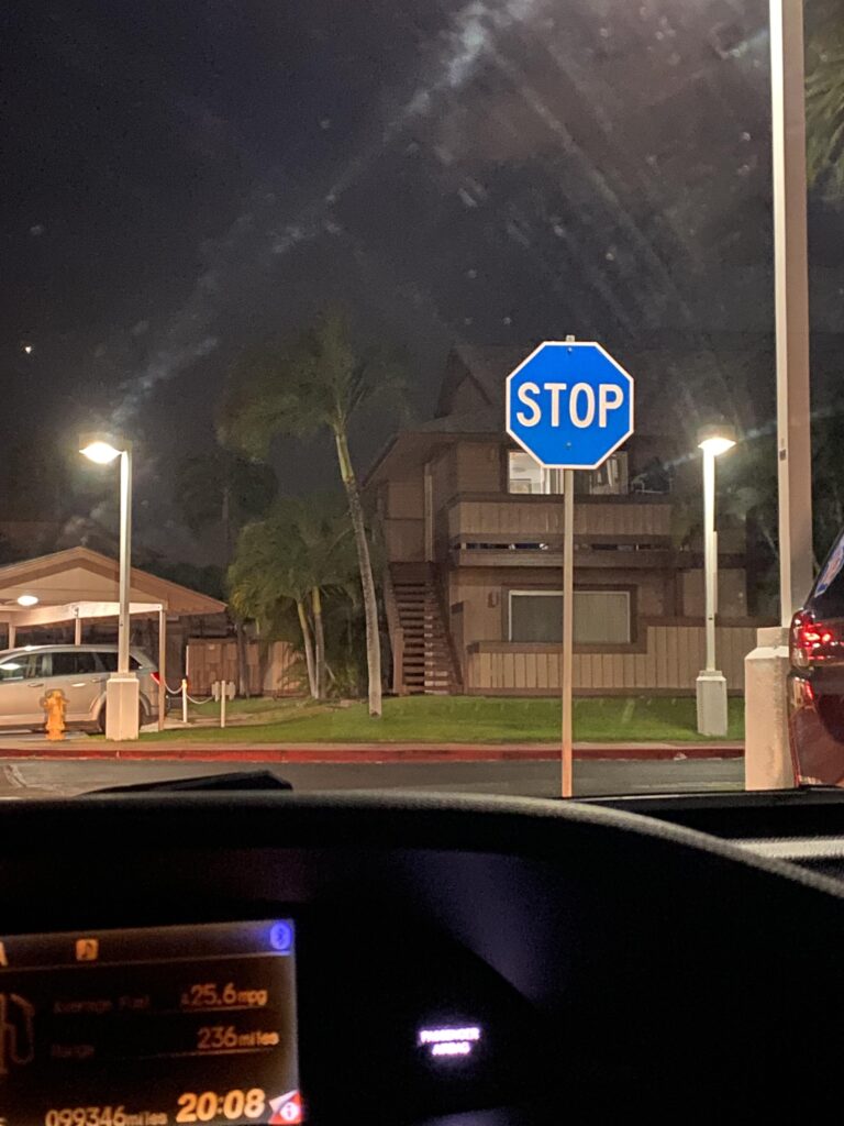 This blue stop sign I randomly encountered today.