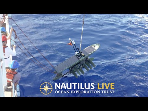 Uncovering the Physics of Ocean Ecosystems with Scripps | Nautilus Live