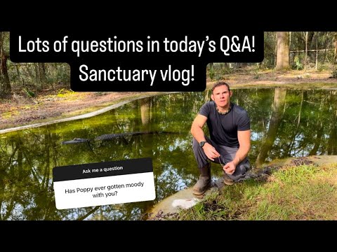 Q&A!!