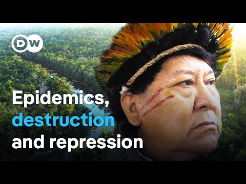 Battle for the Amazon – Indigenous tribes fight back | DW Documentary