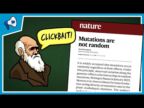 Mutation Bias: Are we deeply wrong about evolution?