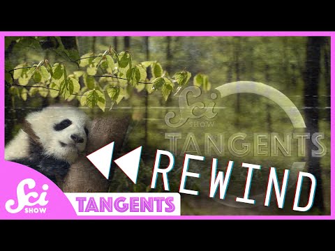 Rewind Ep. 23 – Pregnancy | SciShow Tangents Podcast