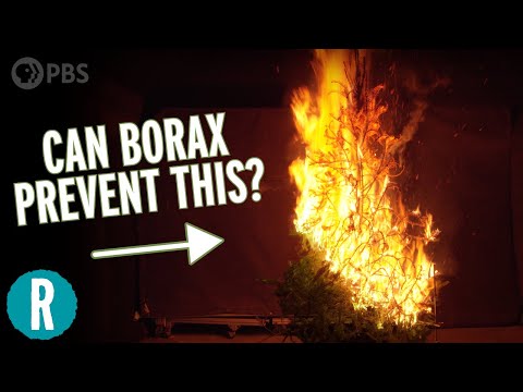 Lighting Christmas Trees on Fire to Test Internet Wisdom