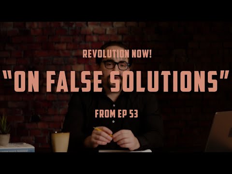 “On False Social Change Solutions” | Clip from Peter Joseph’s Revolution Now! Podcast Ep 53